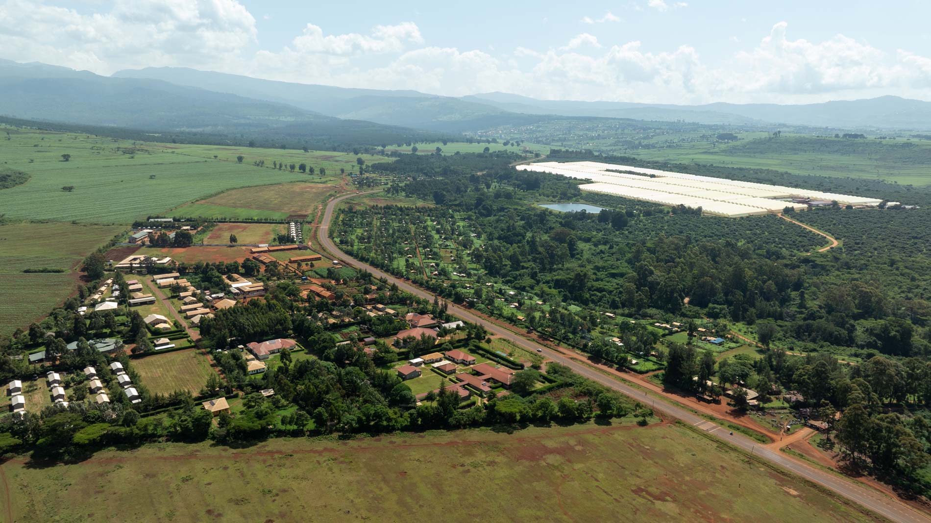 2024 MountElgonOrchards DRONE WCM 24