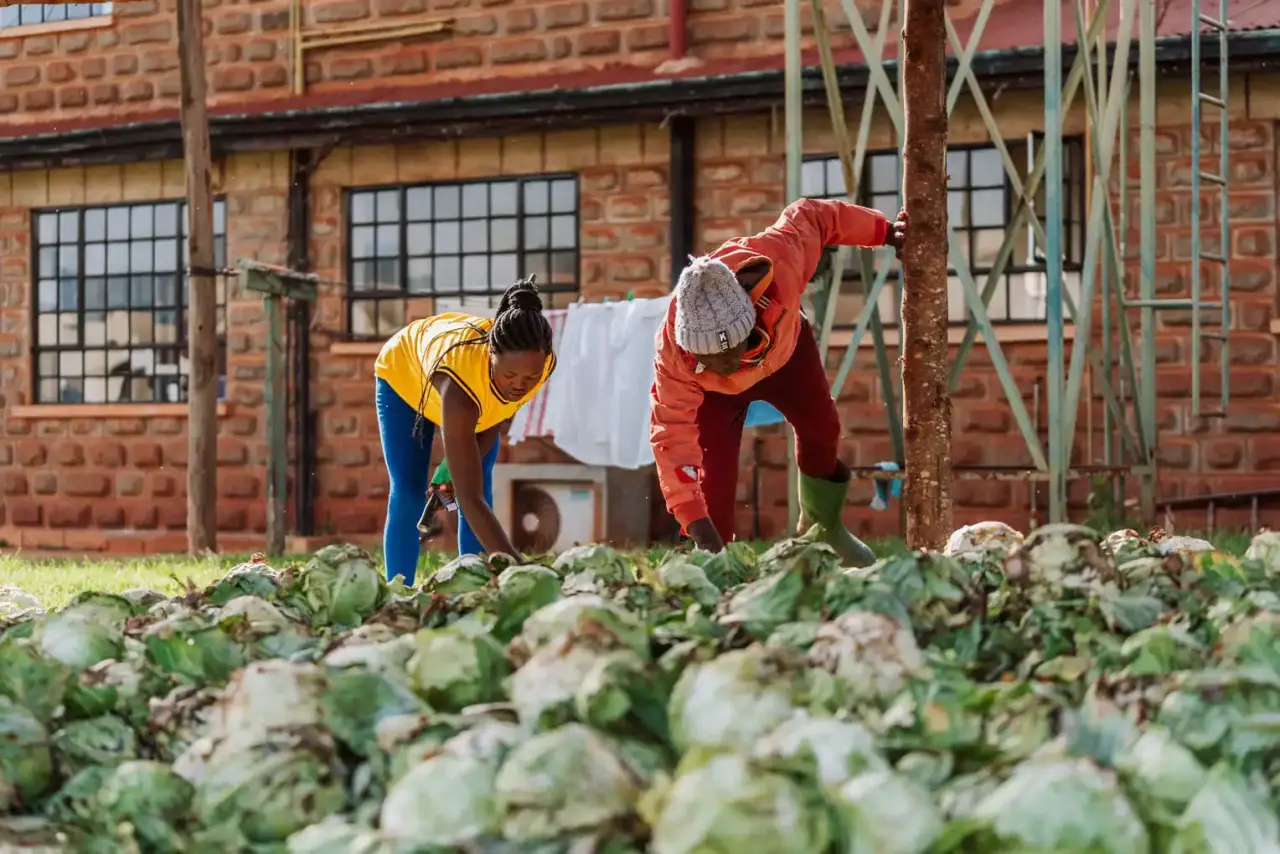 2024 MountElgonOrchards WCM 171 kopie